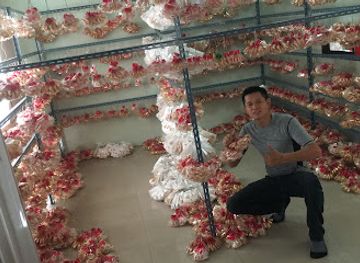 laos/vientiane/shop/haan-khobma-ranakon-kong-luang