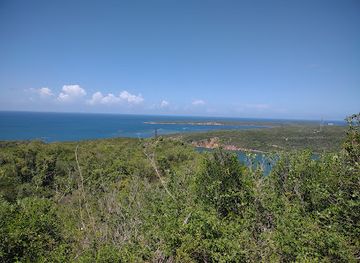 puerto-rico/guanica-dry-forest-reserve/shop/fuerte-capron