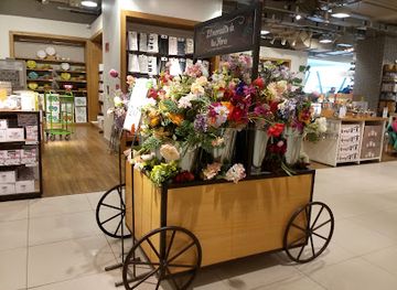 chile/nuble-region/shop/falabella-chillan