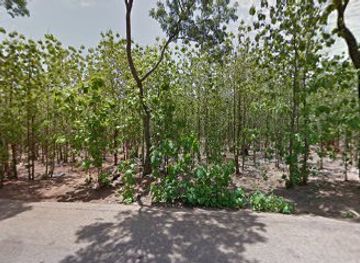 ghana/yendi/shop/namagold