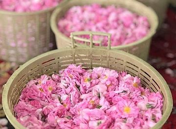 saudi-arabia/al-hada/shop/adnan-al-ghashmari-alward-al-taifi