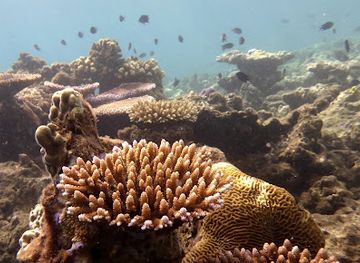 vanuatu/epi-island/shop/epi-high-school