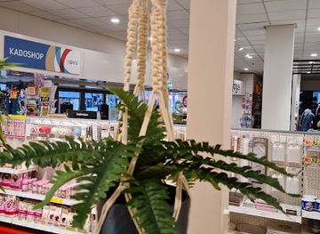 netherlands/drenthe/shop/pipoos