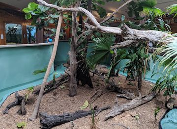 south-carolina/edisto-island/shop/edisto-island-serpentarium