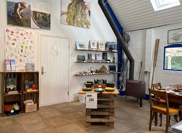 denmark/laso/shop/laso-tang