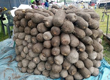 benin/atlantique/shop/believe-store