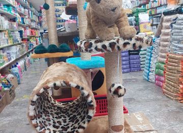 morocco/rabat/shop/rabat-petscastle