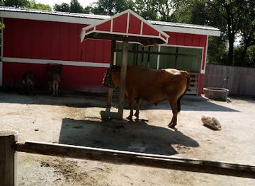 indiana/south-bend/river-park/shop/potawatomi-zoo-gift-shop