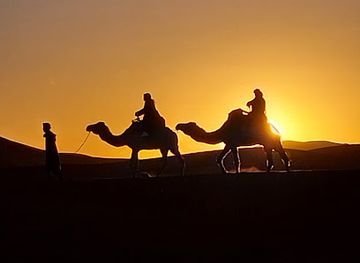 morocco/sahara-desert/shop/sahara-experience