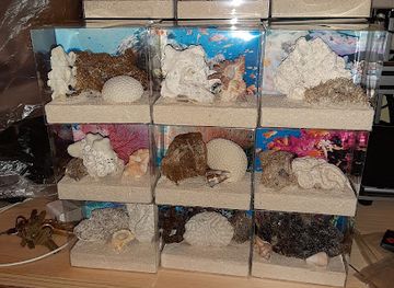 the-bahamas/exuma/shop/exuma-underwater-store