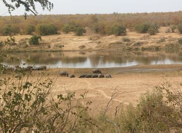 mozambique/limpopo-river-basin/shop/letaba