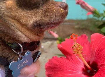 florida/st-george-island/shop/island-emporium-inc