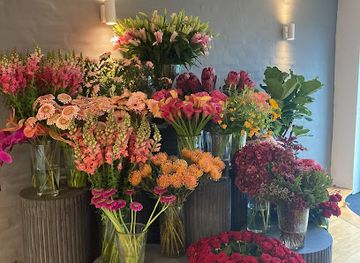 denmark/nastved/shop/the-green-shop-ltd