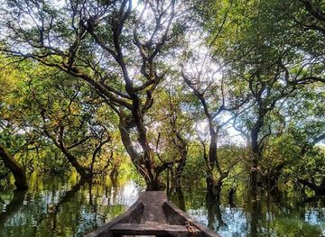 bangladesh/ratargul-swamp-forest/shop/bholaganj-sada-pathor-sylhet