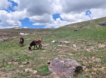 pakistan/deosai-national-park/shop/deosai-top-sadpara-broque