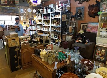 california/joshua-tree/shop/desert-curios