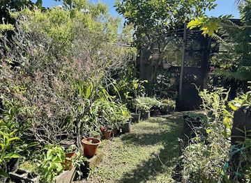 fiji/sigatoka/shop/satini-florals