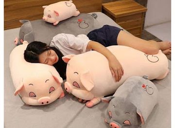 vietnam/tam-ky/shop/gau-bong-tam-ky-co-so-2