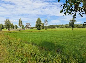poland/białowieża-forest/shop/observation-tower