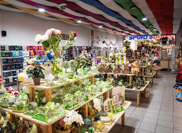 slovenia/nova-gorica/shop/hisa-daril-nova-gorica-supernova