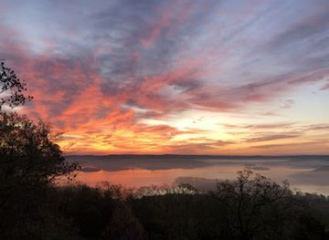 missouri/table-rock-lake/shop/lake-views-antiques
