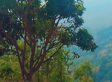 burundi/imbo-plain/shop/bujumbura-burundi