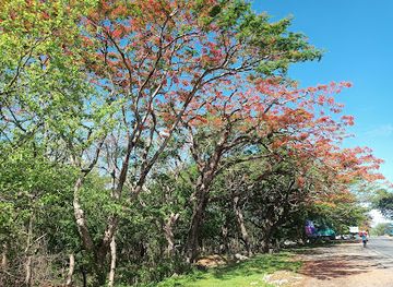 nicaragua/san-juan-del-sur/shop/tienda-donjusto