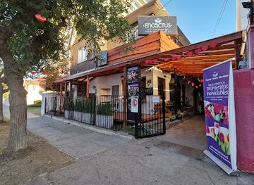chile/vina-del-mar/shop/floreria-y-cafeteria-encactus-vina-del-mar
