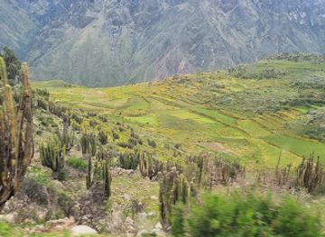 peru/colca-canyon-trek/shop/rio-colca