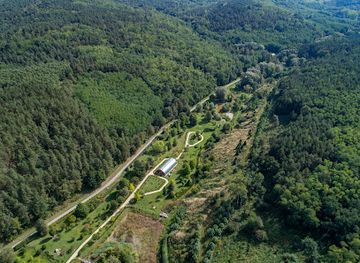 hungary/bukk-national-park/shop/ipolytarnoc-fossils