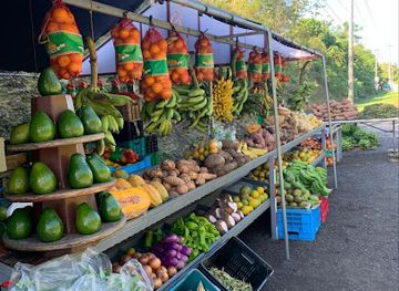 puerto-rico/camuy-river-cave-park/shop/la-bendicion-de-la-129