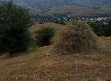 kyrgyzstan/arslanbob-walnut-forest/shop/sabir-siti