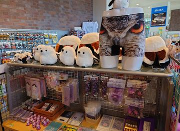 japan/hokkaido/shop/new-furano-prince-hotel-lobby-gift-shop