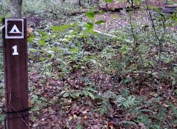 ohio/mohican-state-park/shop/mohican-state-park-backpack-campsite-1