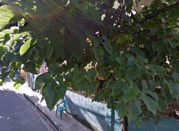 dominican-republic/santo-domingo/shop/daralyn-solano