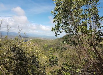 puerto-rico/guanica-dry-forest-reserve/shop/bosque-seco-de-guanica