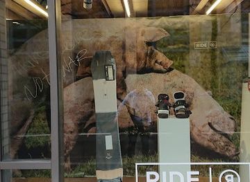 switzerland/zug/shop/doodah-zug