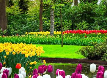 togo/aneho/shop/chez-mississo