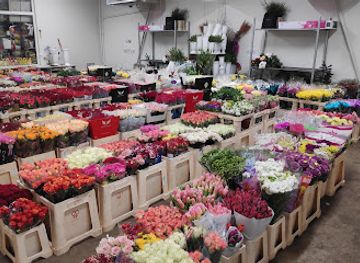 latvia/jurmala/shop/ziedu-baze-veikals