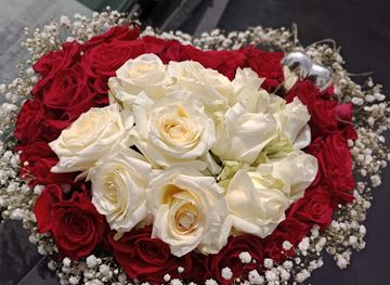 albania/gjirokaster/shop/lule-natyrale-duka