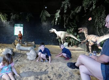 arkansas/crater-of-diamonds-state-park/shop/dino-dig