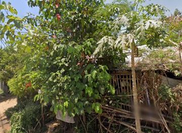 philippines/subic/shop/crystal-jane-online-seller