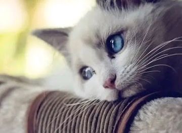 tanzania/mbeya/uyole/shop/kijombo-shop