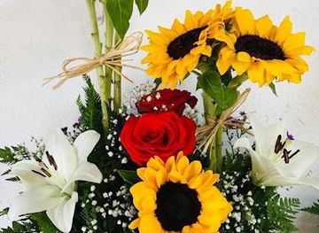 chile/chiloe-archipelago/shop/floreria-esperanza-castro-chiloe