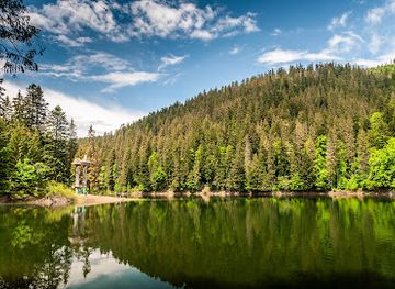 ukraine/synevyr-national-park/shop/synevyr