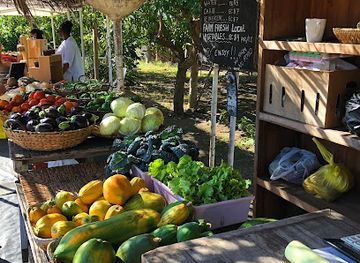 saint-kitts-and-nevis/saint-kitts-southeast-peninsula/shop/coconut-farm