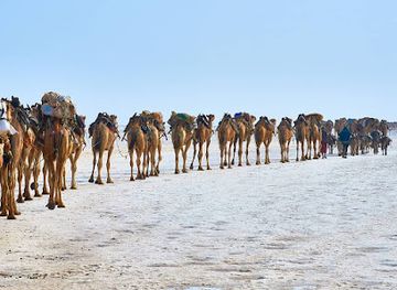 ethiopia/southern-nations-nationalities-and-peoples-region/shop/store251