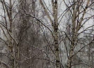 estonia/valga/shop/petseri-pood