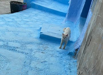 morocco/chefchaouen/shop/small-stall-of-mohammed