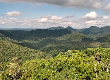 brazil/atlantic-forest/shop/intervales-state-park